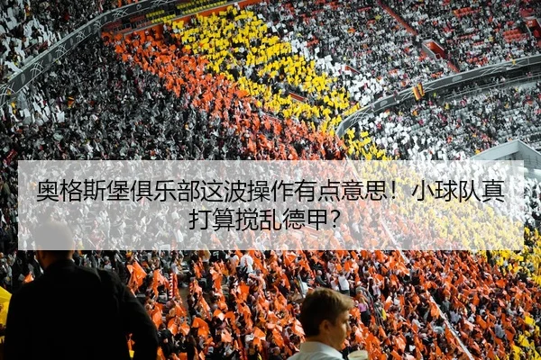 奥格斯堡俱乐部这波操作有点意思！小球队真打算搅乱德甲？（kaiyun）