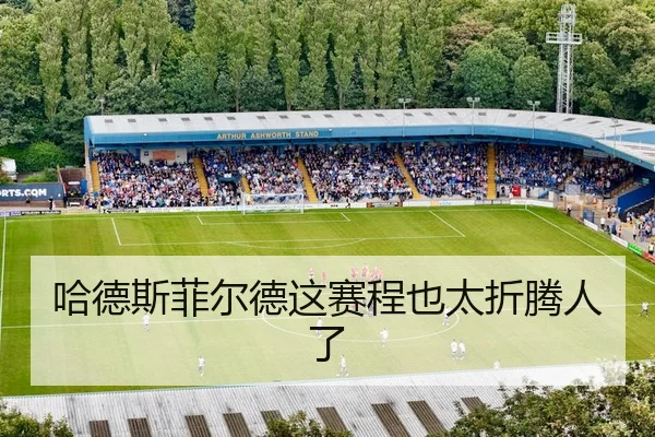 哈德斯菲尔德这赛程也太折腾人了
