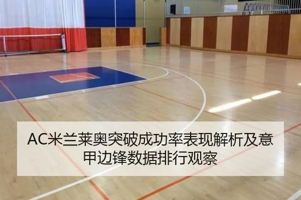 AC米兰莱奥突破成功率表现解析及意甲边锋数据排行观察（kaiyun）