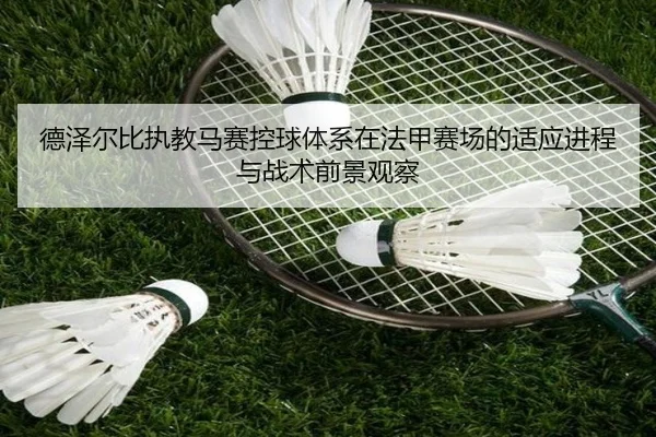 德泽尔比执教马赛控球体系在法甲赛场的适应进程与战术前景观察