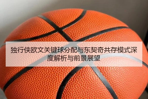 独行侠欧文关键球分配与东契奇共存模式深度解析与前景展望（kaiyun）